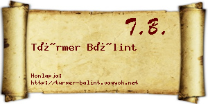 Türmer Bálint névjegykártya